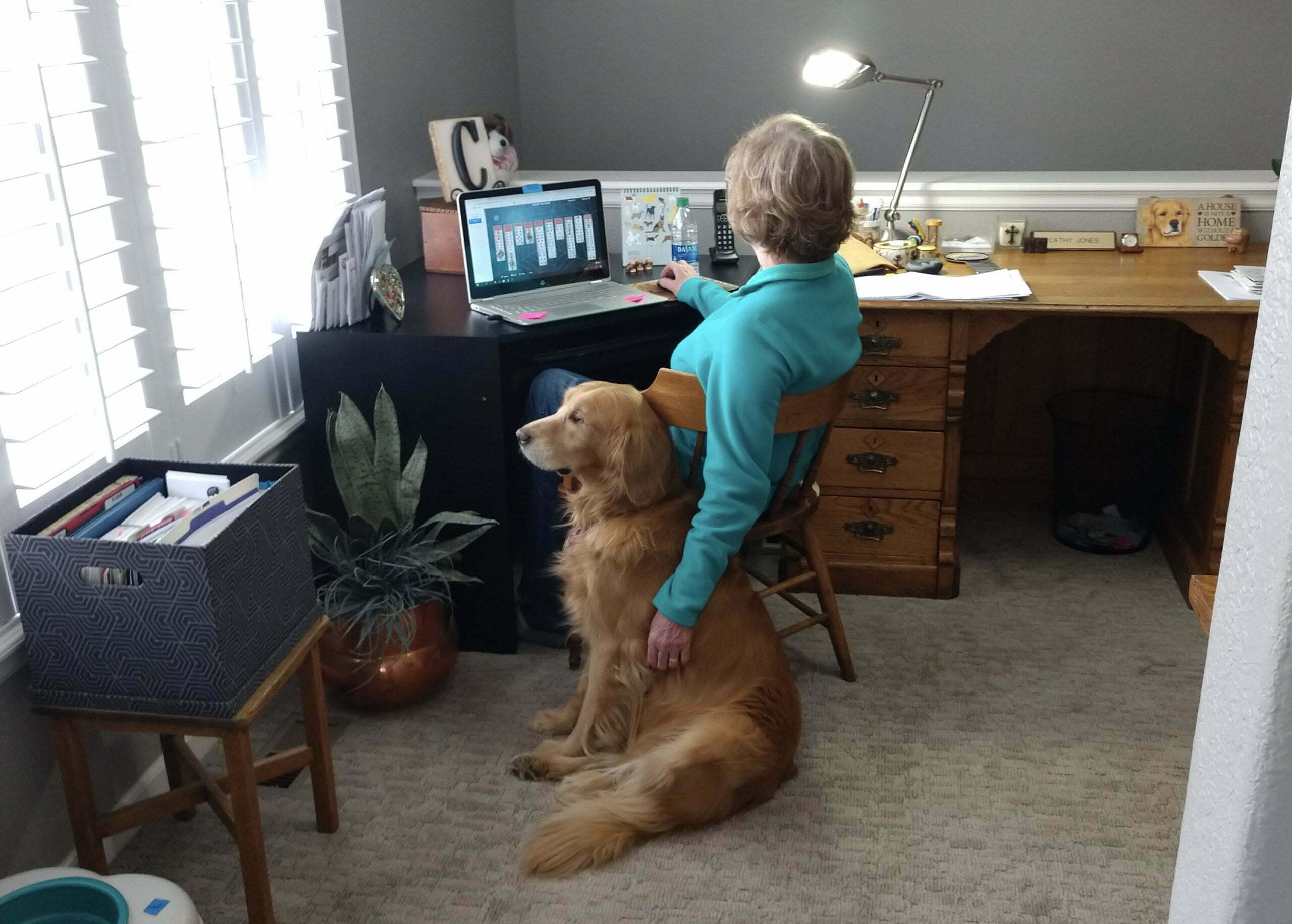 senior woman sitting at desk with her dog