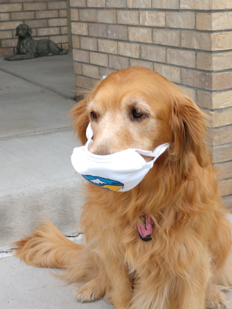 Louise, wearing a GRRR logo mask