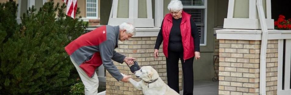 seniors playing with dog