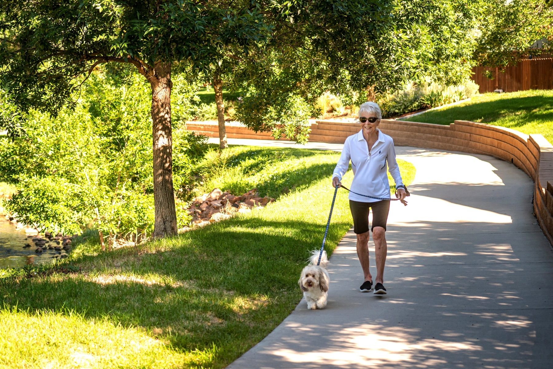 resident walking dog landscape