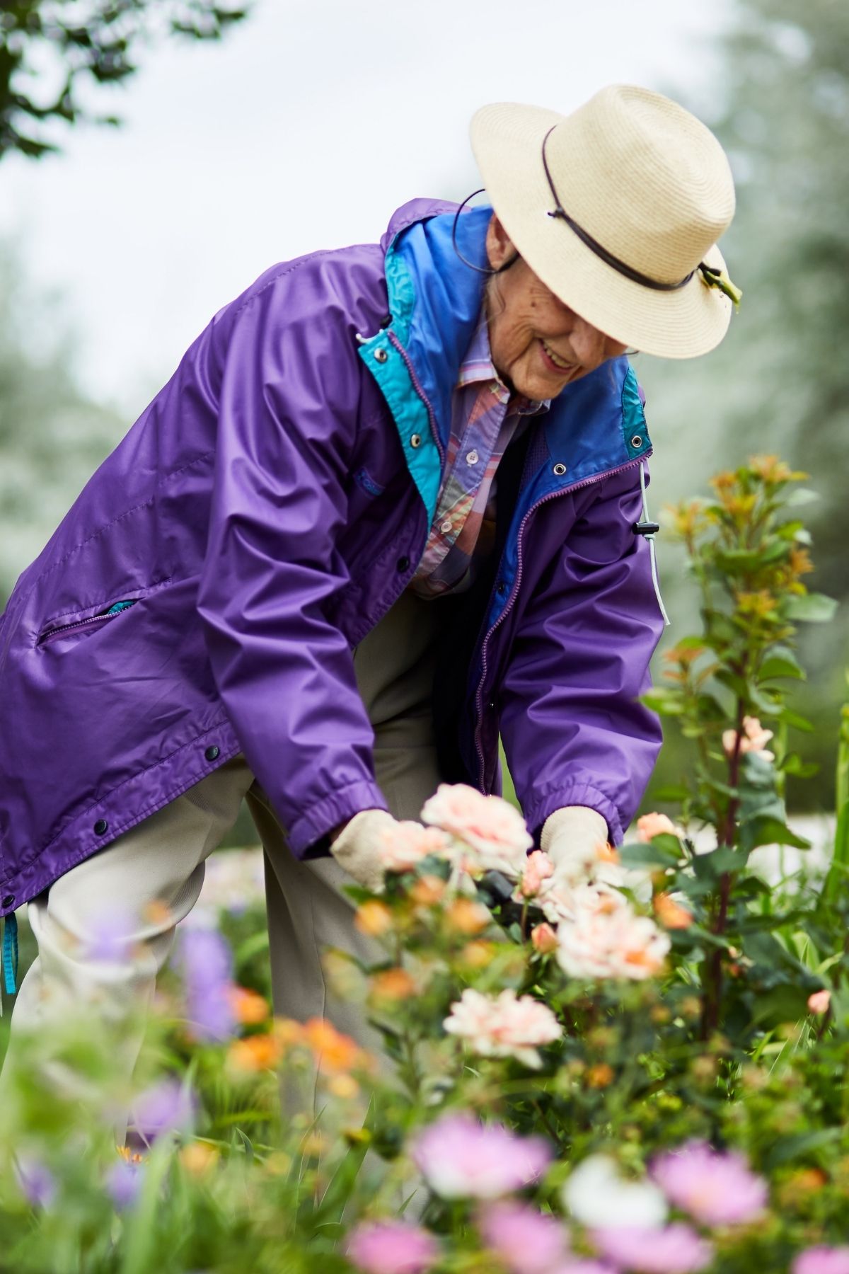 woman with hat and purple jacket gardening portrait