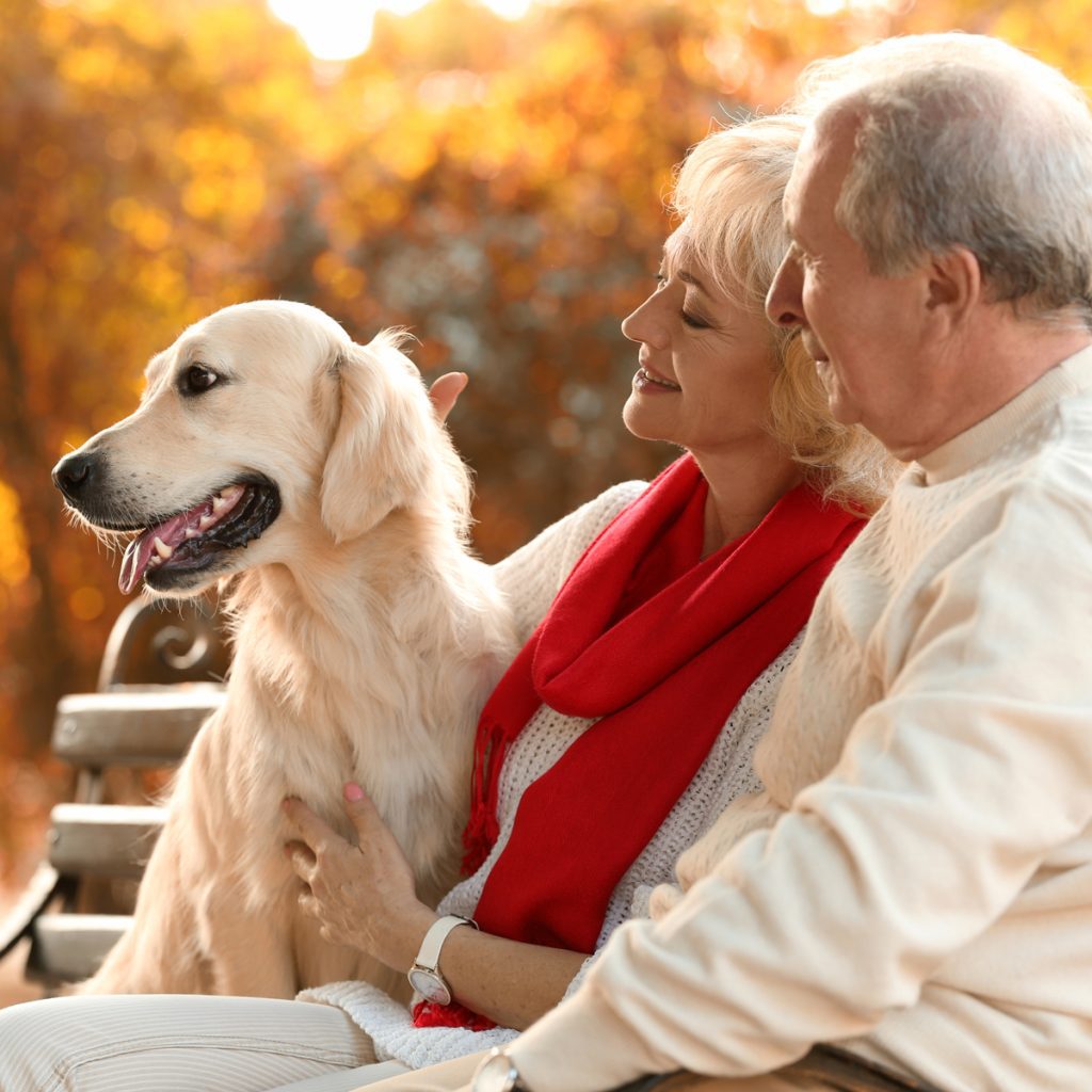 couple with dog square