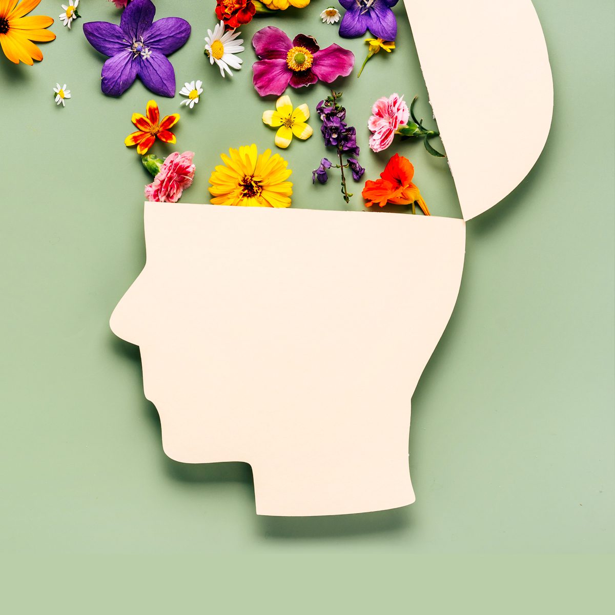 paper head cutout with flowers coming out