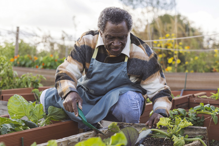 holly creek senior man working in garden holly creek senior man working in garden
