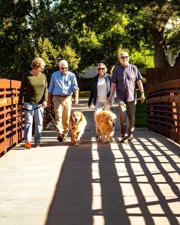 residents walking on bridge with dogs portrait